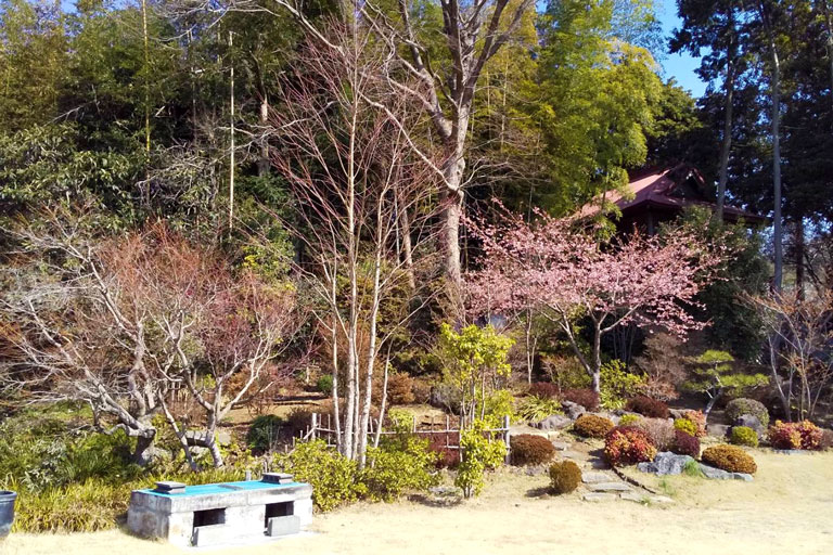 東際寺の庭園の写真